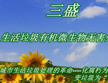 深圳市三盛環?？萍加邢薰? /></div>
								<h4>深圳市三盛環?？萍祭幚硪曨l								<font></font>
								</h4>
								<em></em>
							</a>
						</li><li>
							<a href=